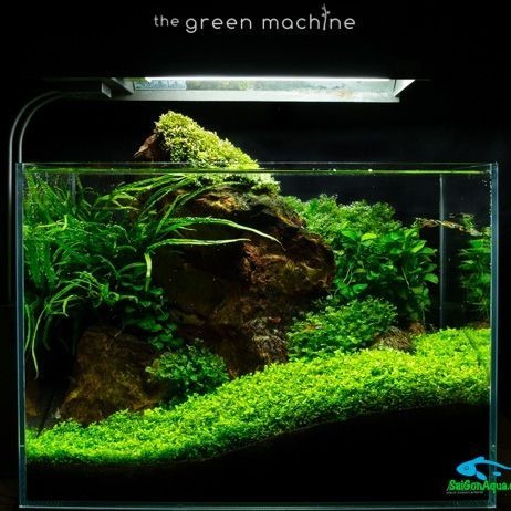 Viết dự án BK Aquarium