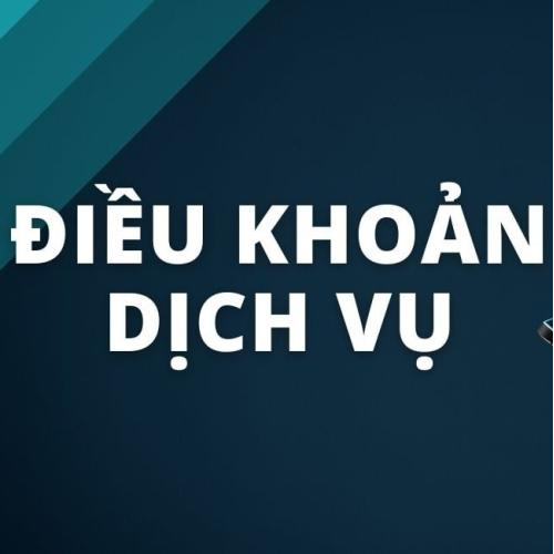 Điều Khoản Dịch Vụ