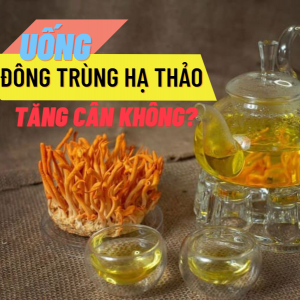 Uống đông trùng hạ thảo tăng cân không?