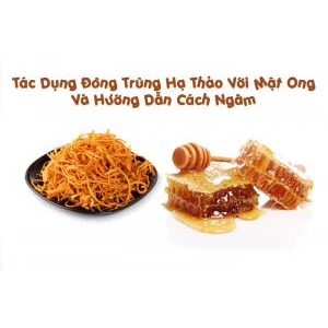 Những chú ý khi sử dụng đông trùng hạ thảo cho người già