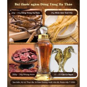 Đông trùng hạ thảo ngâm cá ngựa