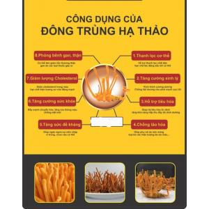 Công dụng của đông trùng hạ thảo sấy thăng hoa