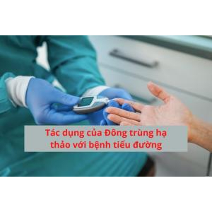 Đông trùng hạ thảo có tác dụng giúp quản lý bệnh tiểu đường loại 2