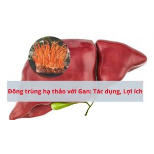 Giải độc gan