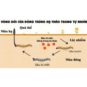 Nếm thử sản phẩm