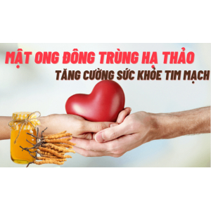 Mật ong đông trùng hạ thảo hỗ trợ bảo vệ tim mạch 