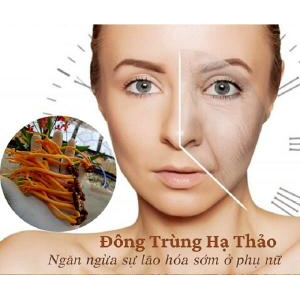 Đối tượng sử dụng đông trùng hạ thảo sấy thăng hoa