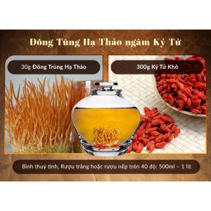 Rượu trùng thảo lạc tiên kỷ tử