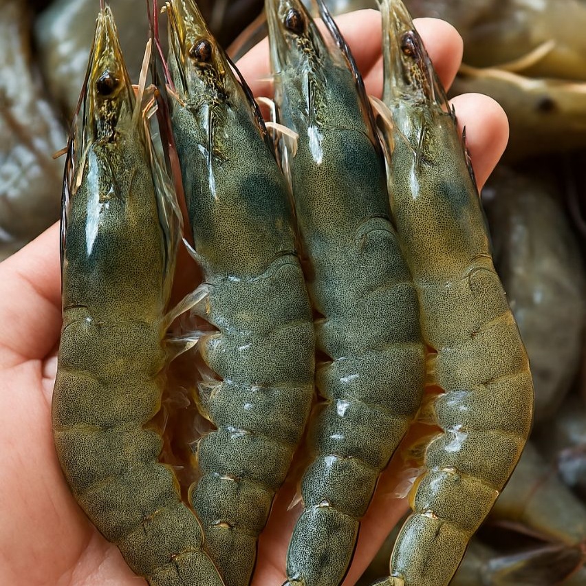 Giàu protein chất lượng cao