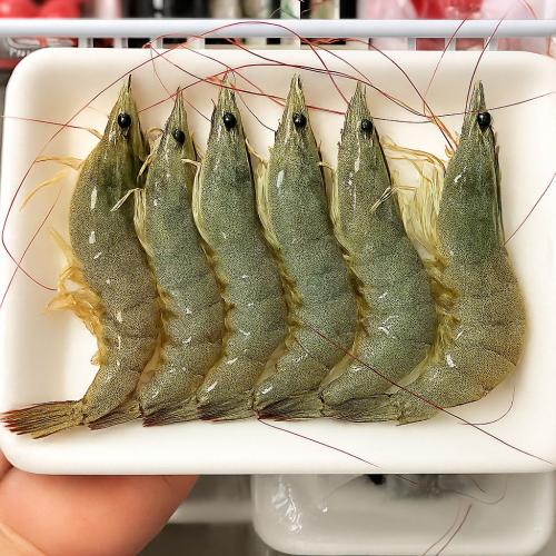 Giá trị dinh dưỡng của tôm bạc