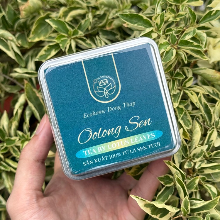 Nghiên cứu trong 5 năm