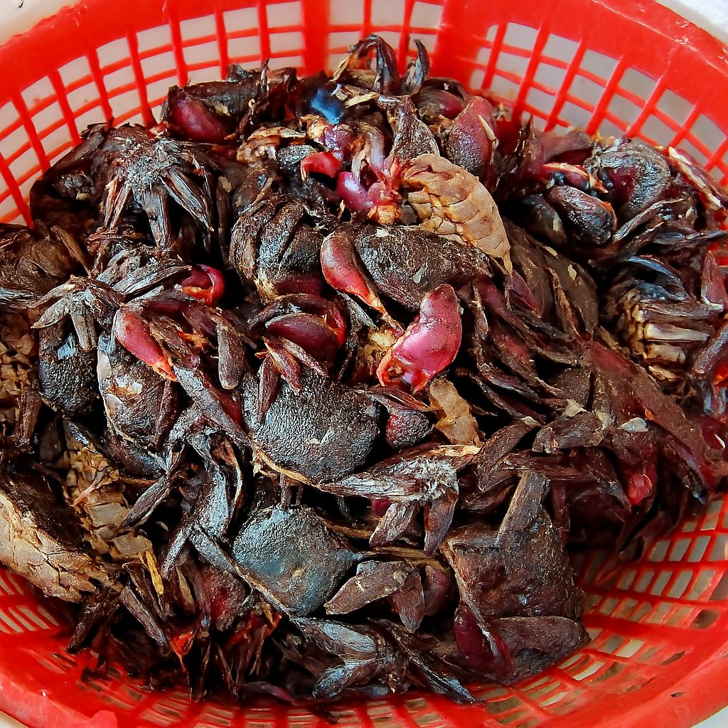 Muối ba khía là gì?