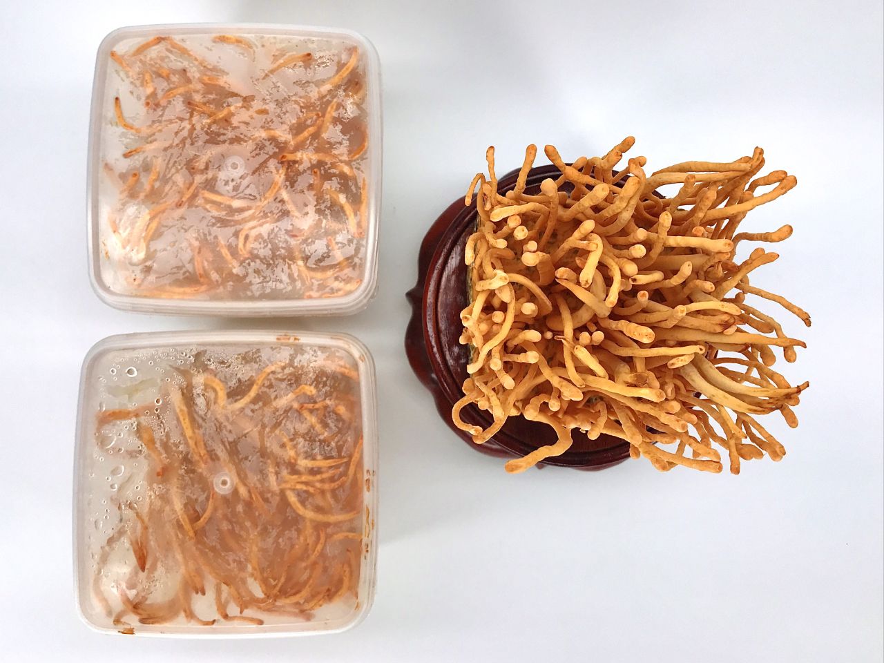 Hỗ trợ tim mạch