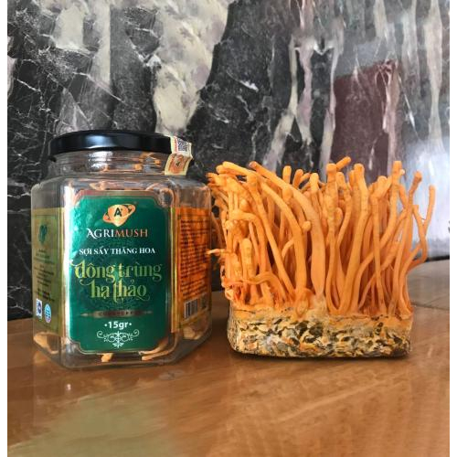 Nâng cao hệ miễn dịch