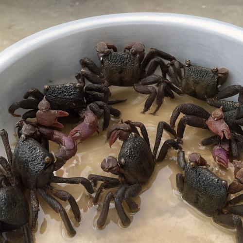 Kích thước vừa phải