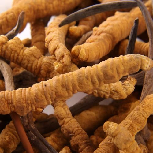 Cải thiện sinh lý