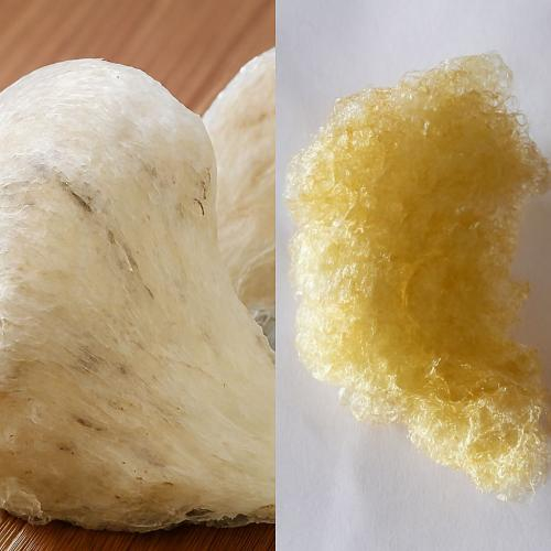 Phân biệt qua mùi hương
