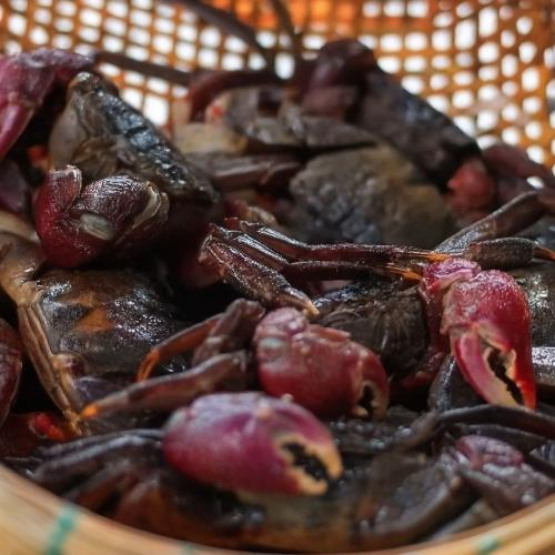 Tỷ lệ muối