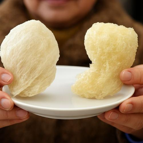 Yến sào giả là gì?