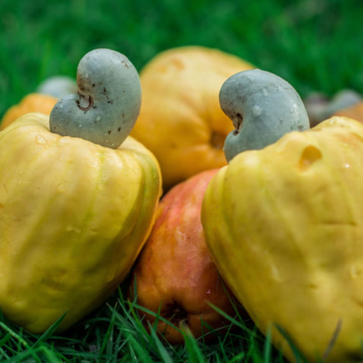 Giảm nguy cơ bị bệnh tim