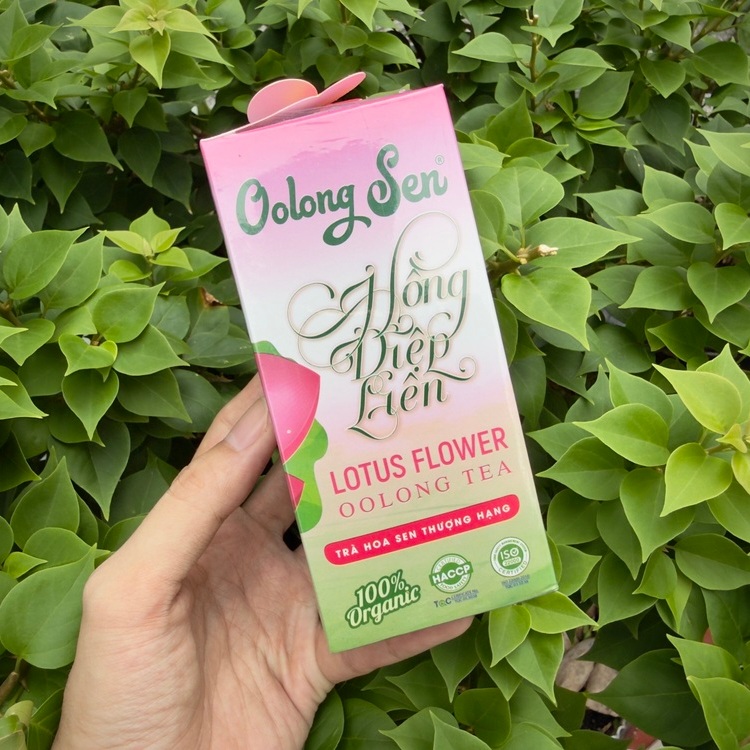 Cách pha trà oolong sen hồng diệp liên