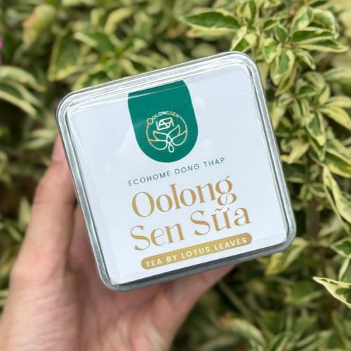 Review Trà Oolong Sen Sữa Có Gì Hấp Dẫn?