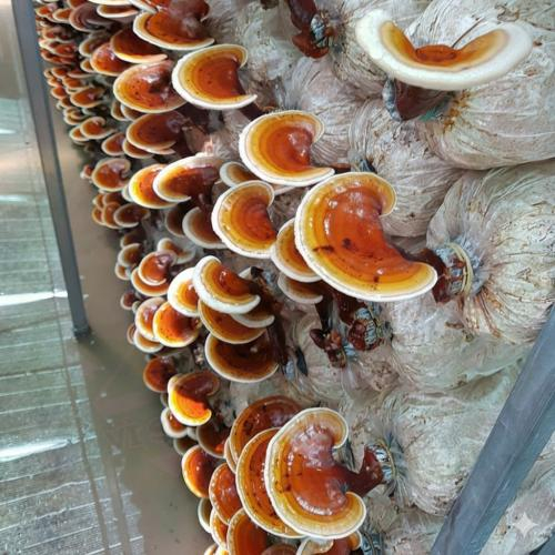 Kết hợp ăn uống, rèn luyện thể chất