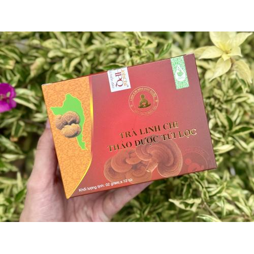 Trà Linh Chi Thảo Dược Túi Lọc Có Tác Dụng Gì?