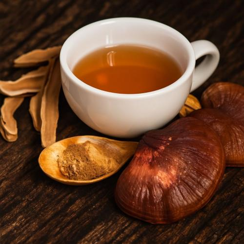 Uống nấm linh chi nhiều có tốt cho sức khỏe không?