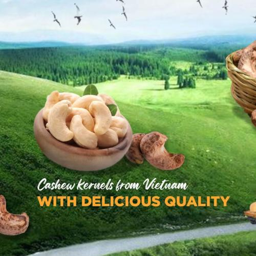 Điều nhân rang mộc là gì?