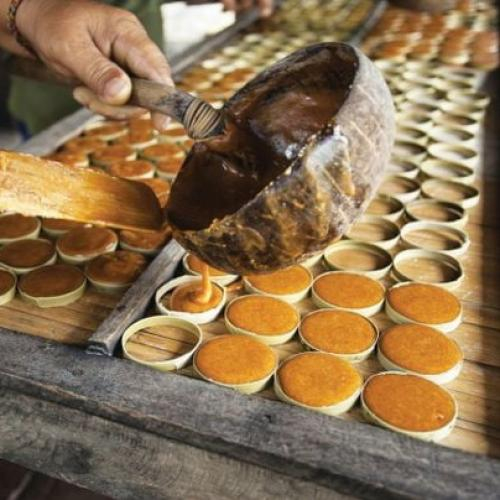 Quan sát màu sắc