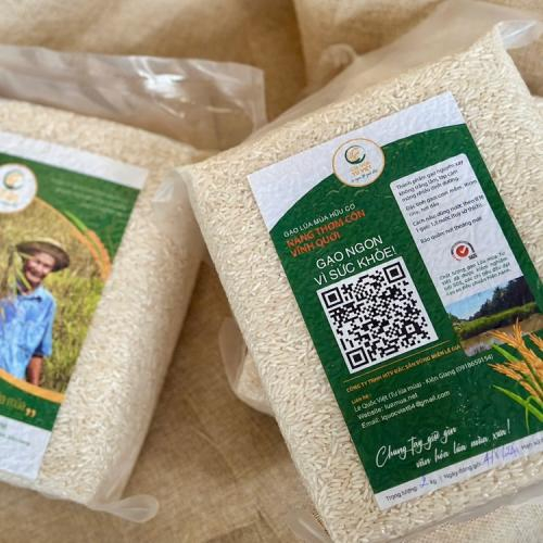 Chế độ ăn GI cao gây hại cho sức khỏe