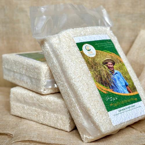 Không bảo quản khi cơm còn nóng