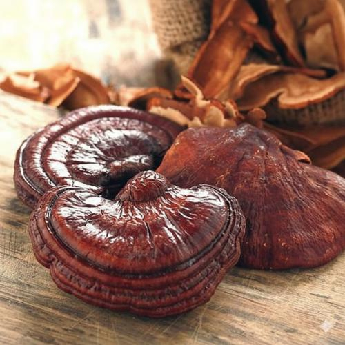 Kiểm soát đường huyết