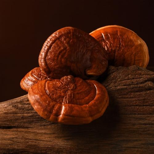 Hỗ trợ một số vấn đề về da khác