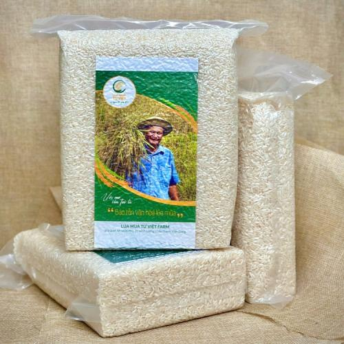 Mức độ vận động