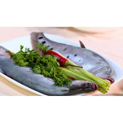 Sản phẩm nào của Kỳ Như phù hợp để làm quà biếu?