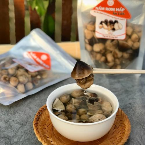 Nguồn gốc cây nấm