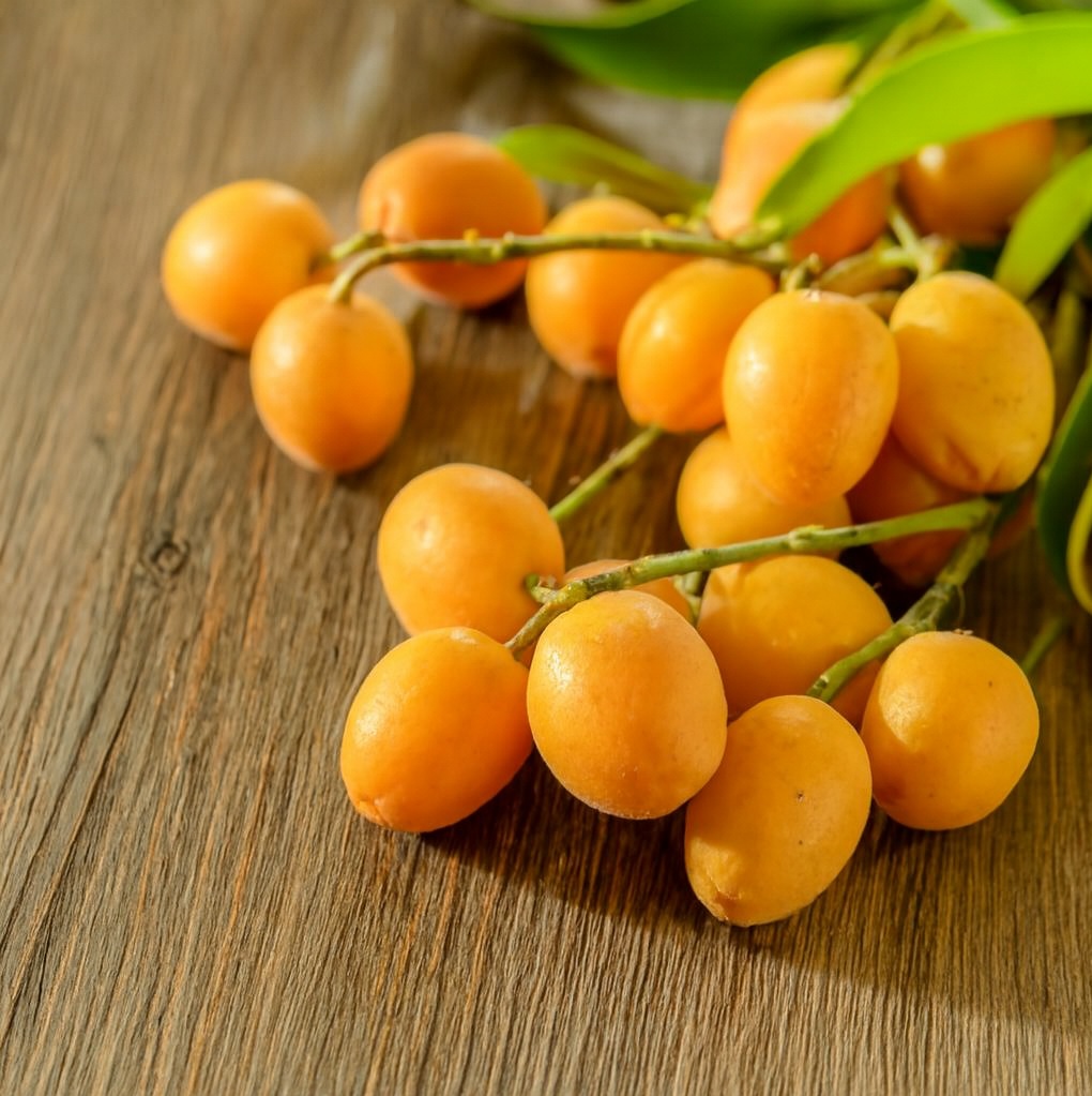 Mua quất gần Tết