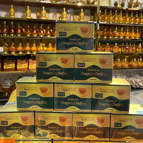 Trà sâm đông trùng hạ thảo là trà gì?