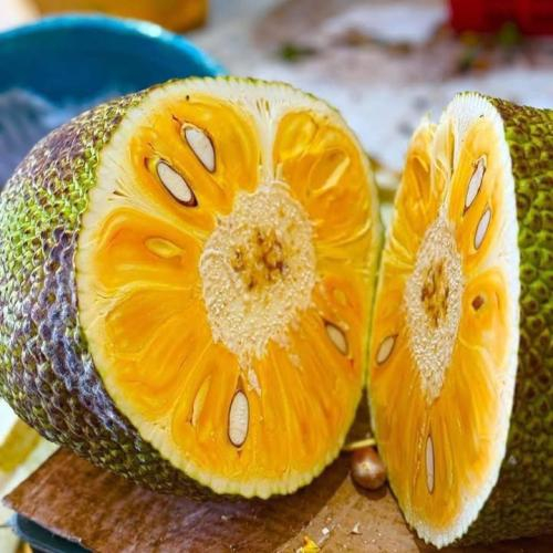 1. Hỗ trợ chống viêm