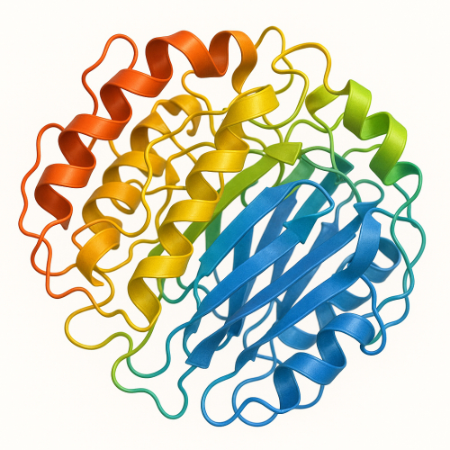 Enzyme Là Gì? Vì Sao Cần Bổ Sung Enzyme Cho Cơ Thể?