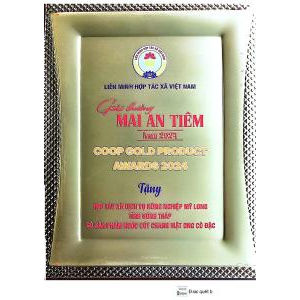 Giải thưởng Mai An Tiêm