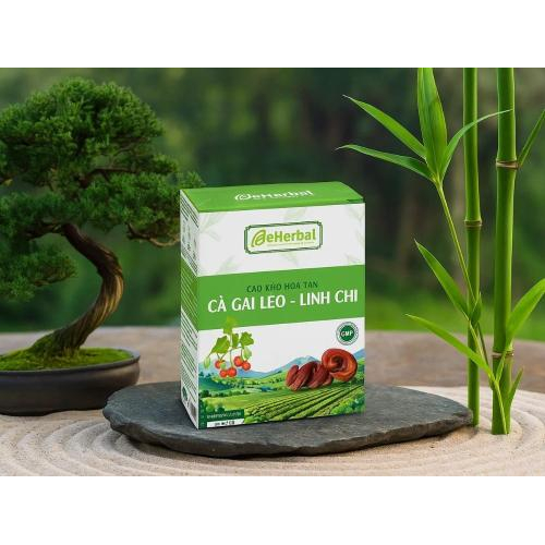 1. Cảm nhận đầu tiên khi tiếp xúc