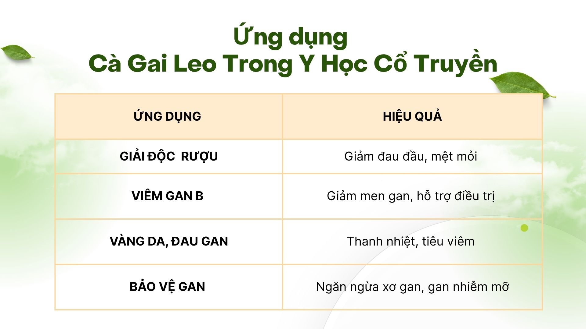 Ứng dụng dân gian – từ thói quen đời thường đến bài thuốc hữu hiệu