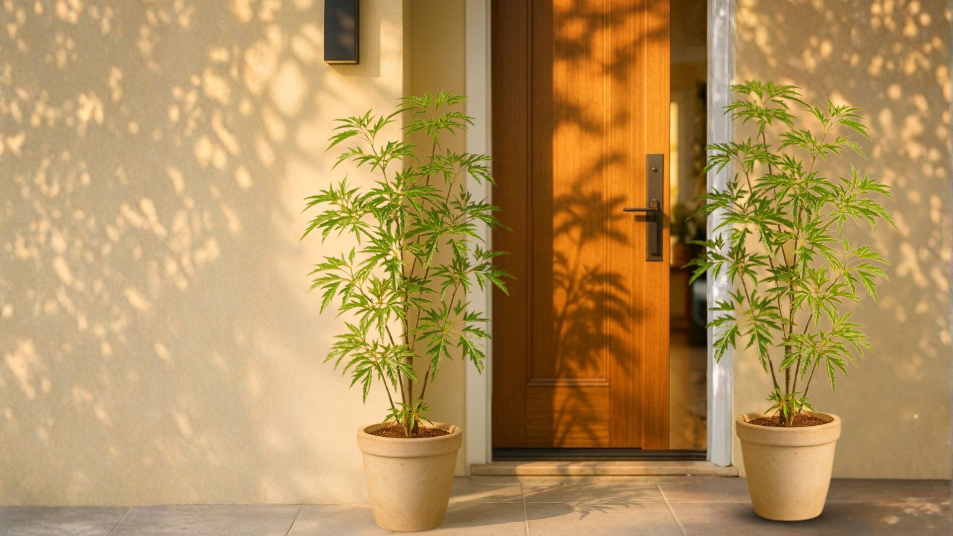 1. Trước sân nhà – Vị trí đón tài lộc và bình an