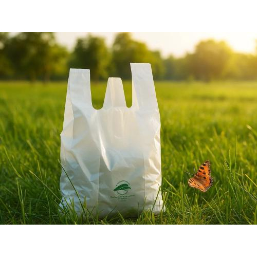 2. Đặc điểm nổi bật & quyền lợi khi đặt hàng