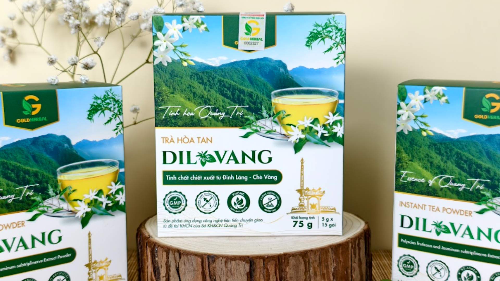 1. Đôi nét về chè vằng và đinh lăng