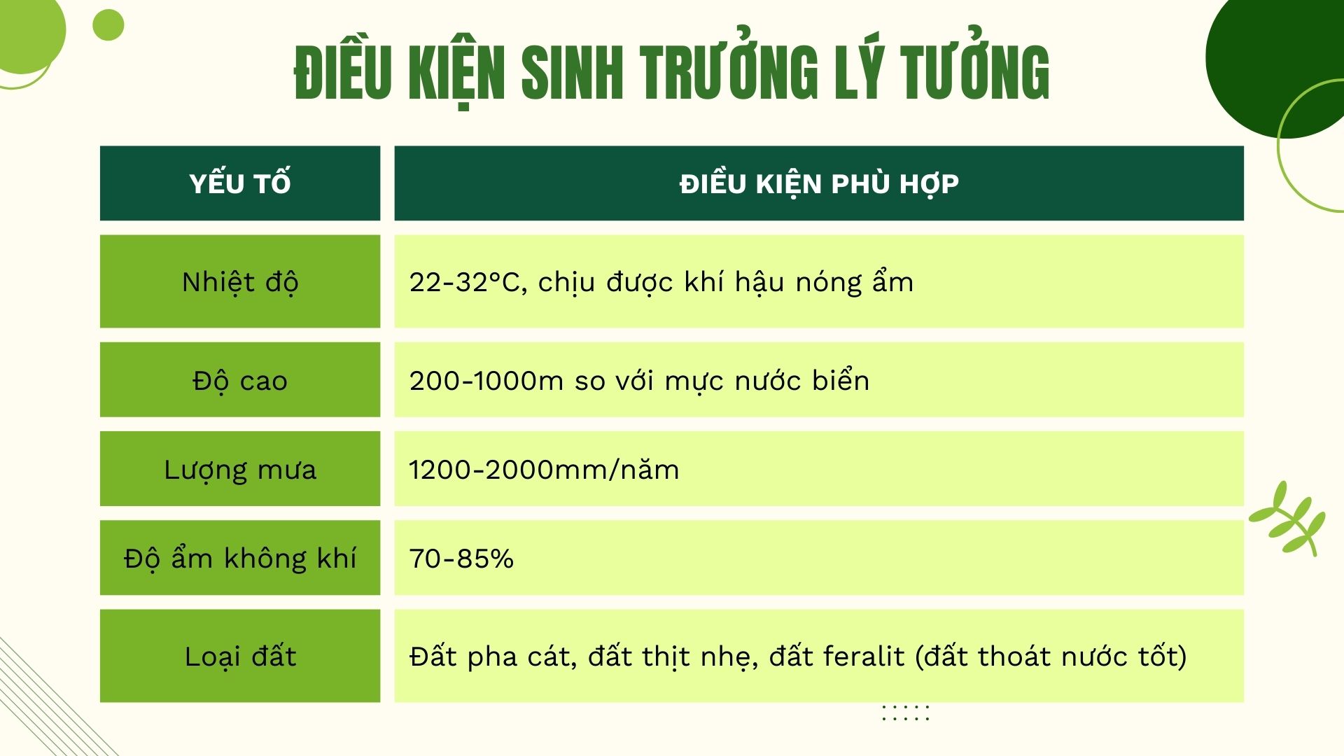 2. Điều kiện sinh trưởng lý tưởng