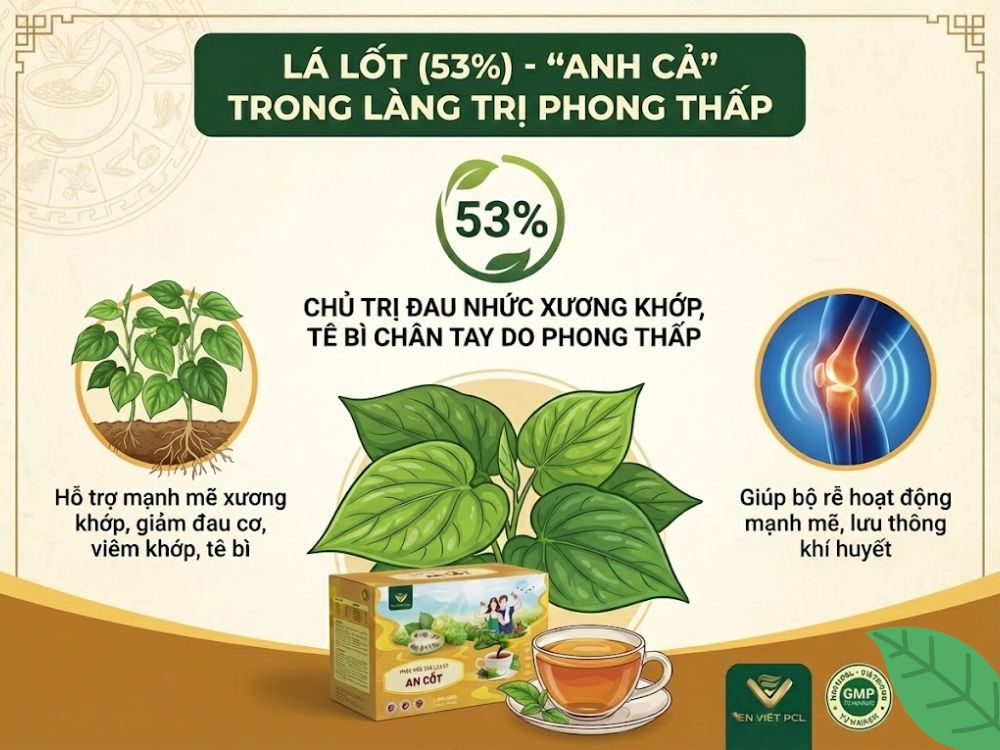 Lá Lốt (53%) - "Anh cả" trong làng trị phong thấp